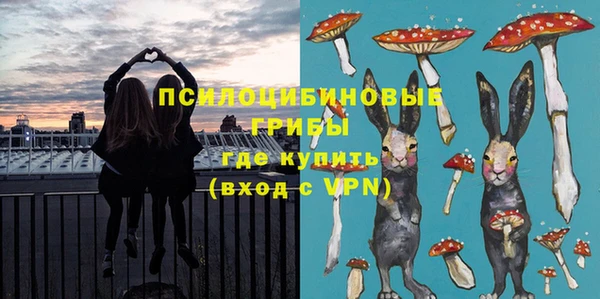 МДПВ Алексин