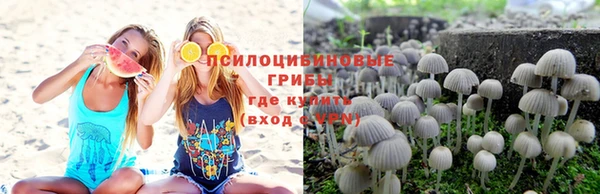МДПВ Алексин