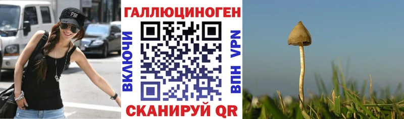 Псилоцибиновые грибы Cubensis Тейково